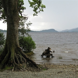 SCHOTLAND 069