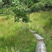 SCHOTLAND 090