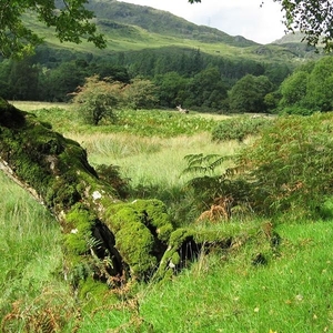 SCHOTLAND 091