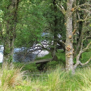 SCHOTLAND 099