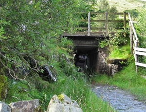SCHOTLAND 103