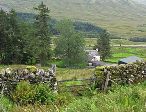 SCHOTLAND 117