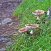 SCHOTLAND 126