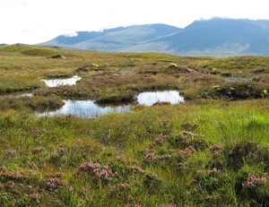 SCHOTLAND 182