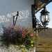 SCHOTLAND 210