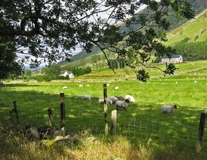 SCHOTLAND 266