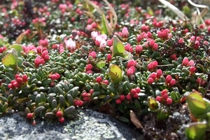 2007 NOORWEGEN 059