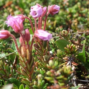 2007 NOORWEGEN 061