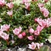 2007 NOORWEGEN 064