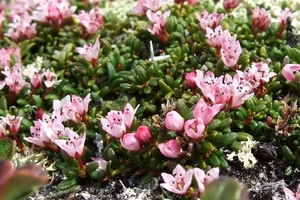 2007 NOORWEGEN 064