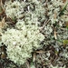 2007 NOORWEGEN 066