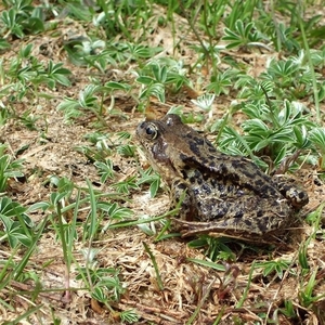 2007 NOORWEGEN 077