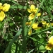 2007 NOORWEGEN 086