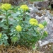 2007 NOORWEGEN 088