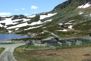2007 NOORWEGEN 096