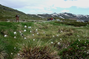 2007 NOORWEGEN 131