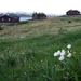 2007 NOORWEGEN 134