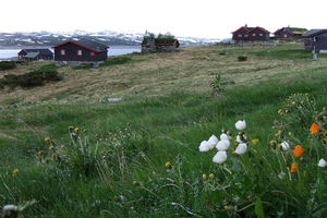 2007 NOORWEGEN 134
