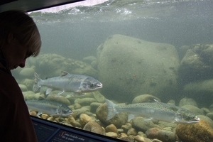 2007 NOORWEGEN 145