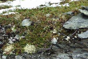 2007 NOORWEGEN 162