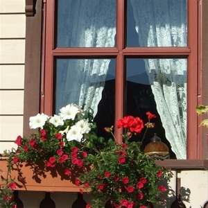2007 NOORWEGEN 191
