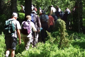2007 NOORWEGEN 200
