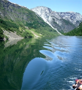 2007 NOORWEGEN 238