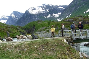 2007 NOORWEGEN 255