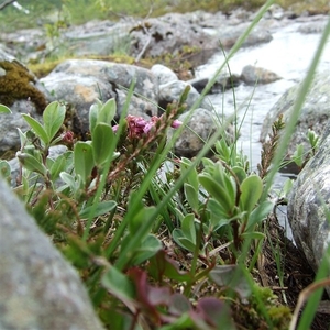 2007 NOORWEGEN 265