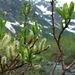 2007 NOORWEGEN 267