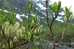 2007 NOORWEGEN 267