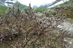 2007 NOORWEGEN 268