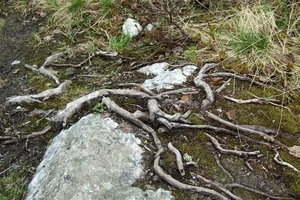 2007 NOORWEGEN 272