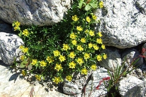 2007 NOORWEGEN 392