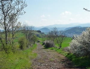 09 LePuy Figeac  0040