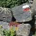 09 LePuy Figeac  0050