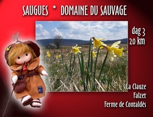 09 LePuy Figeac  0169