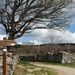09 LePuy Figeac  0205