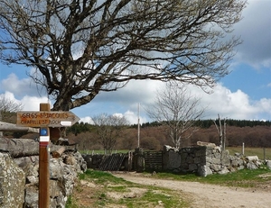 09 LePuy Figeac  0205