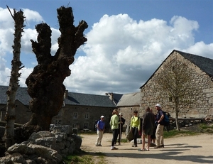 09 LePuy Figeac  0206