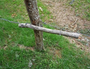 09 LePuy Figeac  0246