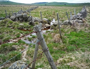 09 LePuy Figeac  0303
