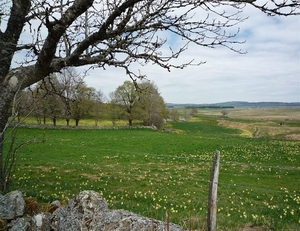 09 LePuy Figeac  0309