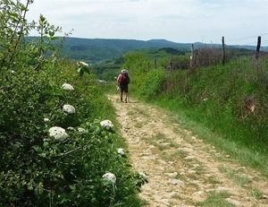 09 LePuy Figeac  0524