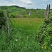 09 LePuy Figeac  0545