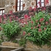 09 LePuy Figeac  0732