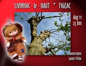 09 LePuy Figeac  0825