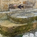 09 LePuy Figeac  0860