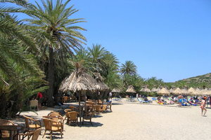 Palmenstrand van Vai