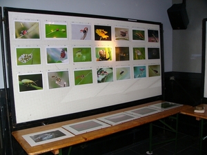P1290383